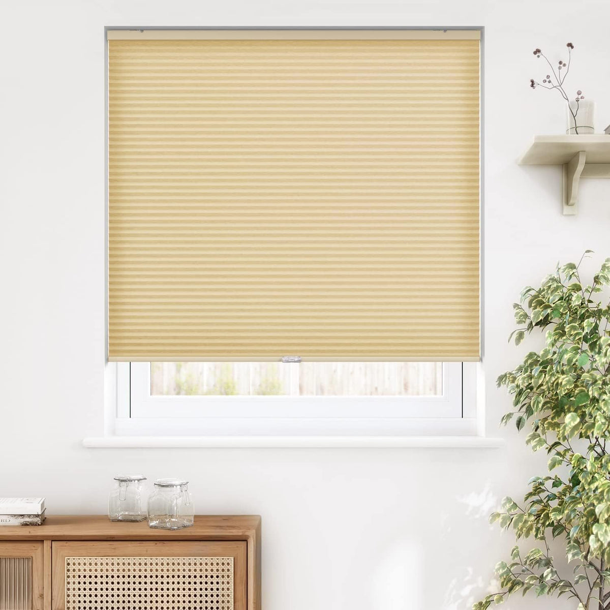 Cordless Cellular Shades, Blackout & Light Filtering